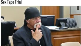 Hulk Hogan Awarded $115 Million in Lawsuit against Gawker for Releasing unauthorized Sextape.