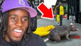 Kai Cenat Becomes A New York Rat..