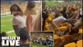 FISTS FLY After A White Woman Slapped A Black Man At Steelers Vs. Lions Game