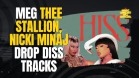 Nicki Minaj and Megan Thee Stallion Trade Disses… WHY ARE THEY BEEFING?!?!?