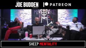 Patreon Exclusive | Sheep Mentality