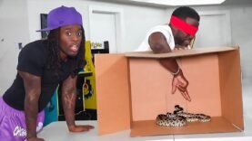 Kai Cenat & Kevin Hart What’s In The Box Challenge!