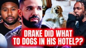 Akademiks EXPOSES Drake|DISTURBING Things w/DOGS & Women|CAUGHT On Live Stream|Kendrick Tried 2Te…