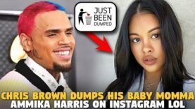 Chris Brown Dumps His Baby Momma On Instagram…and guess Who is MAD?