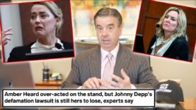 Criminal Lawyer Reacts to Testimony From Amber Heard and Her Psychologist