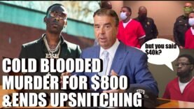 Criminal Lawyer Reacts to YOUNG DOLPH’S KILLER SNITCHING & PAID ONLY FOR $800