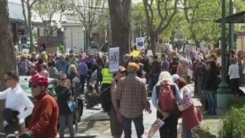 Tesla Takedown Protest | San Franscisco area