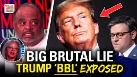 The ‘Big Beautiful Bill’ Is a BIG BRUTAL  LIE — Rep. Robin Kelly RIPS Medicaid Cuts