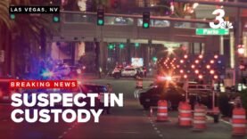 YouTuber SHOOTS AND KILLS Rival YouTuber & WIFE On LIVESTREAM On Las Vegas Strip “HE IS..