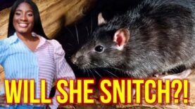 Can Shanquella Robinson’s Attacker Daejhanae Jackson SNITCH In MEXICO For Lighter Sentence?!