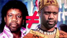 Why Black Americans DON’T Look African!