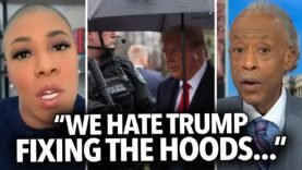 “We Hate Trump Fixing Crime In Black Neighborhoods…” Al Sharpton, Symone Sanders Must Hate D.C. 😳