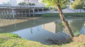 14th DEAD BODY Now FOUND In HOUSTON Bayou After Latest, SERIAL KILLER claims DENIED By..