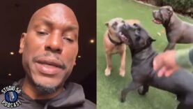Tyrese HIT With ARREST WARRANT Over Dogs KILLING Neighbors Dog In ATTACK On VIDEO &..